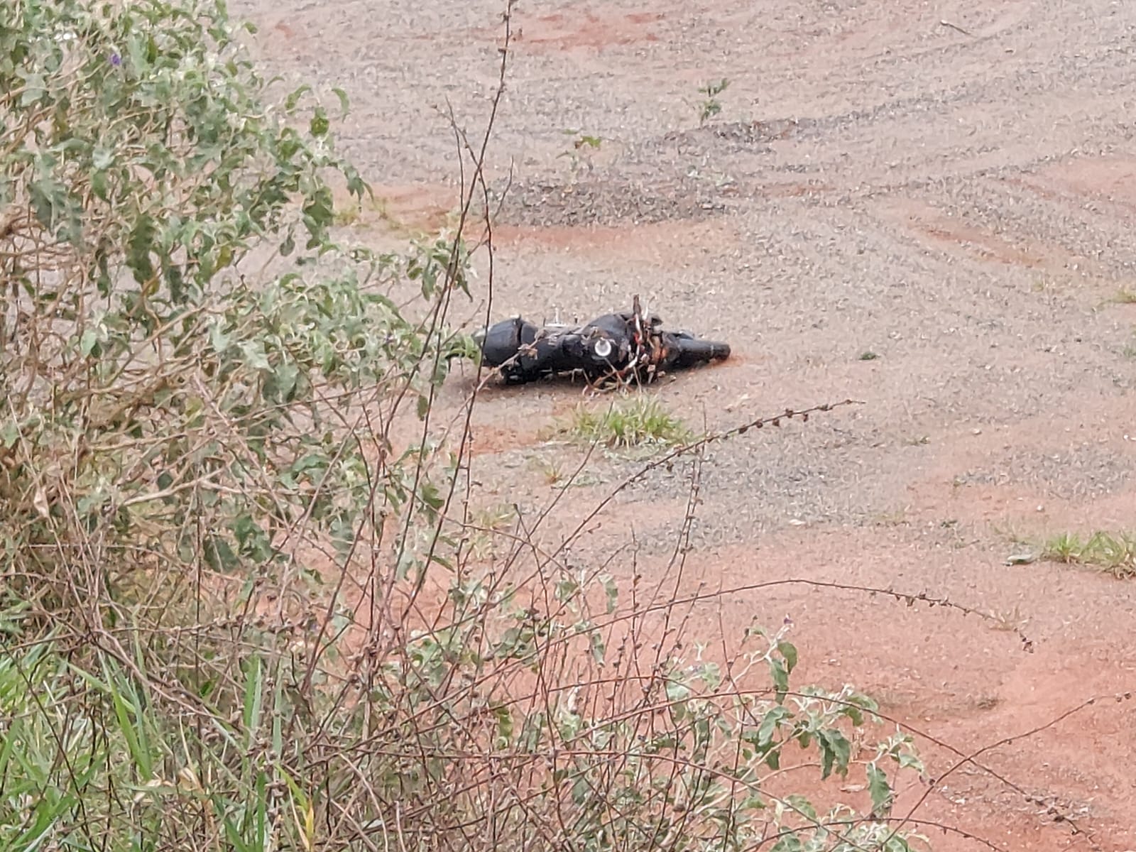 /22091WhatsApp Image 2023-10-21 at 15.49.00.jpeg